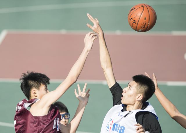 五姑娘影院免费播放电影在线观看